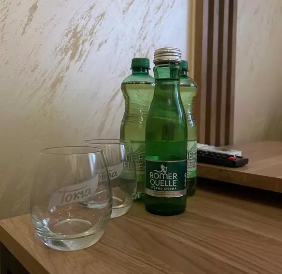 Aamiaismajoitus (B&B) Villa Potôň