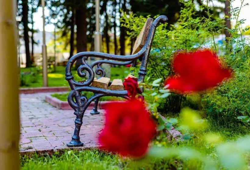 Hotelli Complex Vața Băi