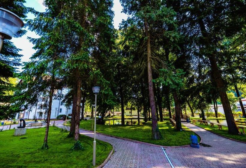 ホテル Complex Vața Băi