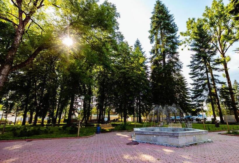 ホテル Complex Vața Băi