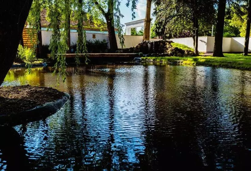 Hotelli Complex Vața Băi