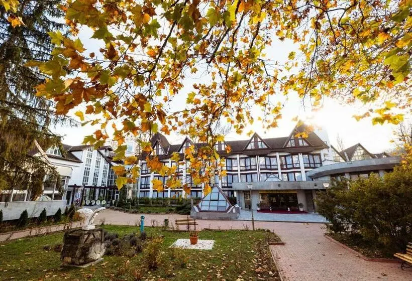 Hotelli Complex Vața Băi