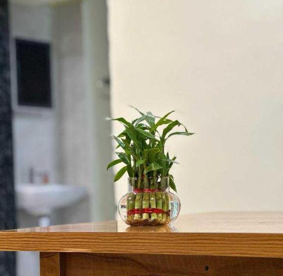 בית מלון כפרי Oyo Ekta Lodging And Boarding