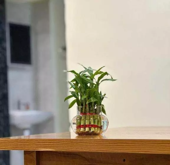 ホテル Oyo Ekta Lodging And Boarding