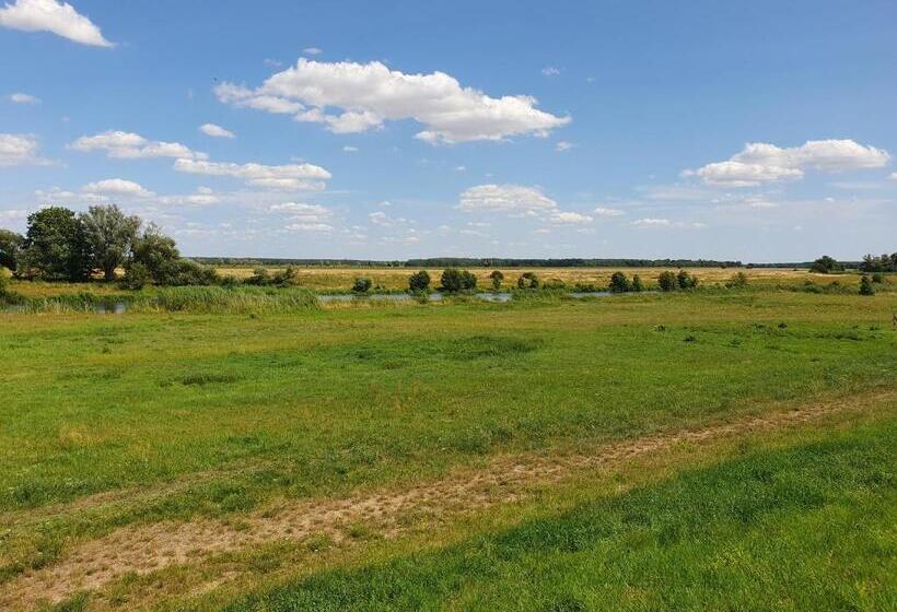 膳宿费 Gasthaus Kelly