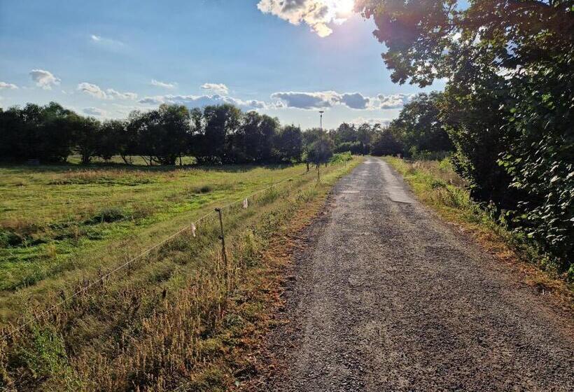 膳宿费 Gasthaus Kelly