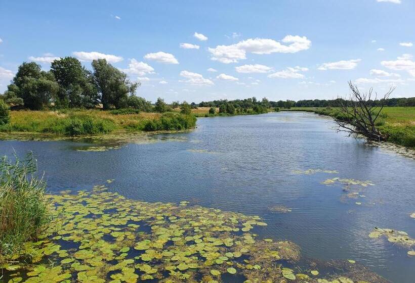 膳宿费 Gasthaus Kelly