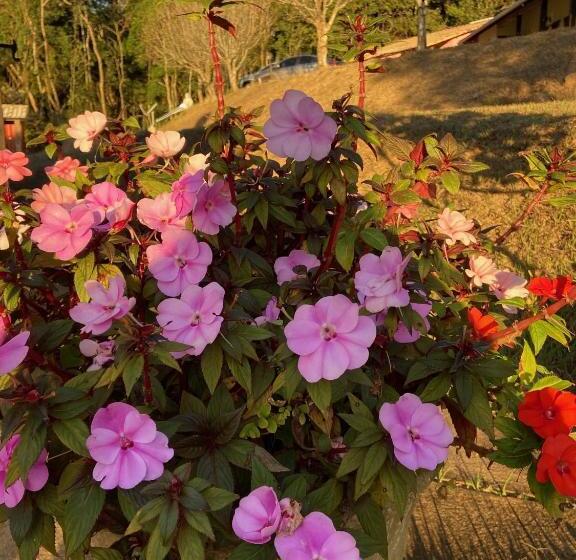 Общежитие Pousada Santuário Caeté