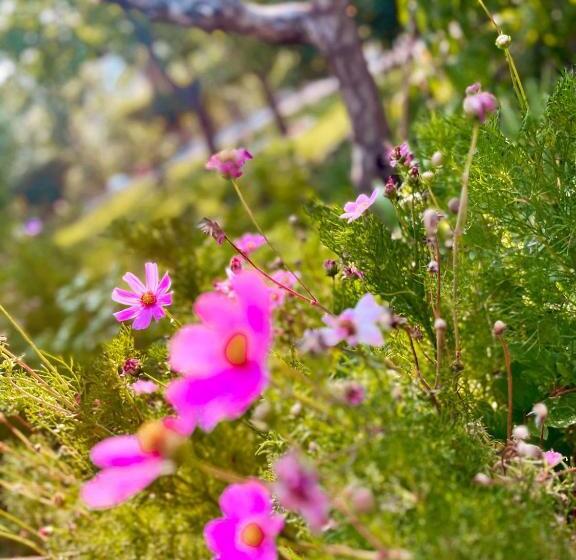 تختخواب و صبحانه Casarmonia