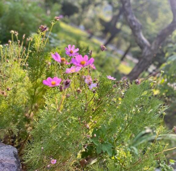 تختخواب و صبحانه Casarmonia