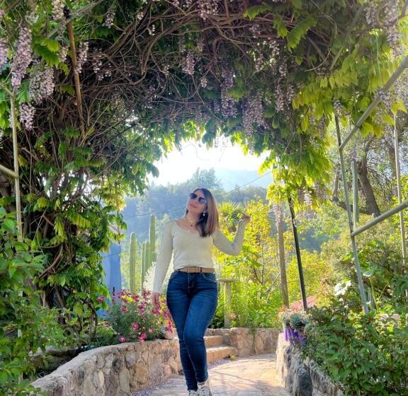 تختخواب و صبحانه Casarmonia