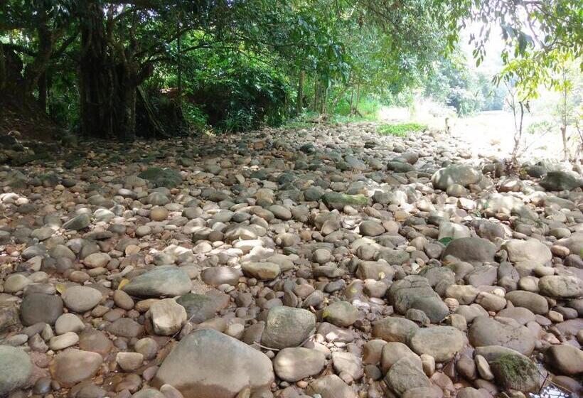 住宿加早餐  Grand Amaya Village