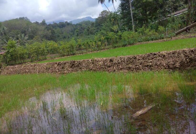 住宿加早餐  Grand Amaya Village