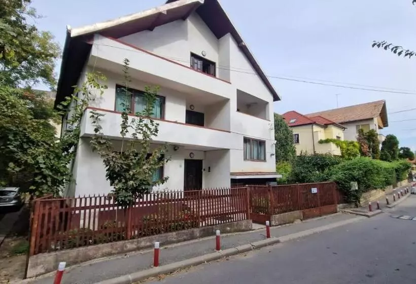 Flava Hostel