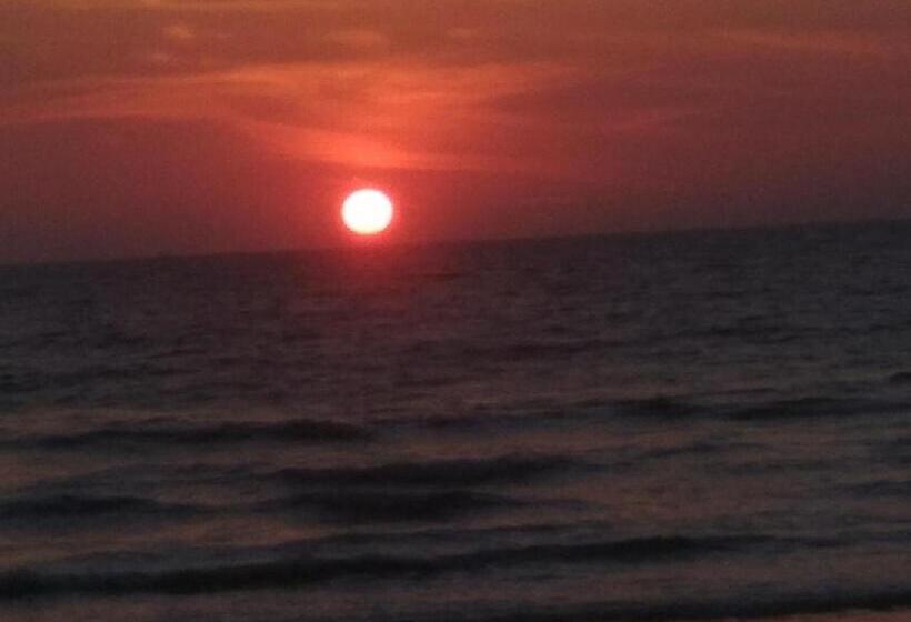 هتل Coconut Tree Cafe