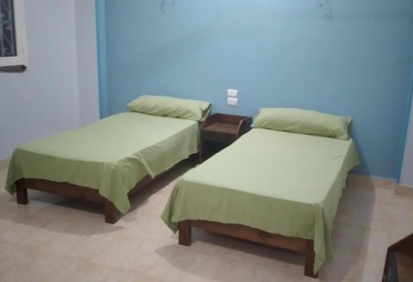 پانسیون Ali Habou {4}