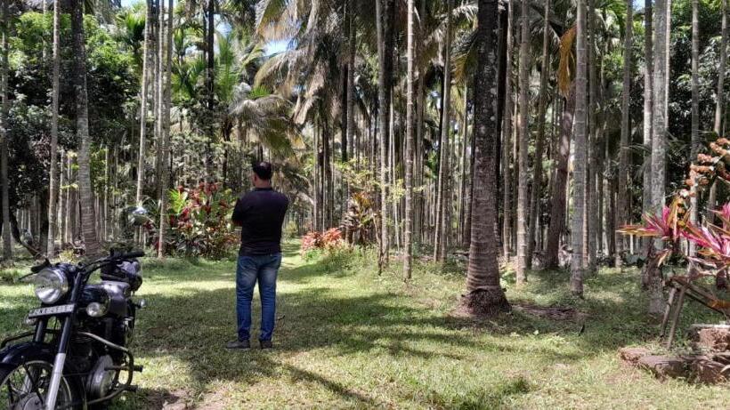 Majatalo Riverside Wooden Cottages In Coorg