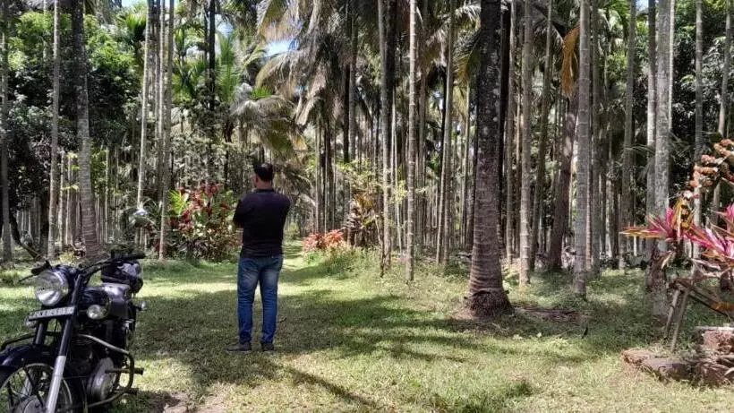 ペンション Riverside Wooden Cottages In Coorg
