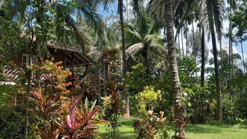 ペンション Riverside Wooden Cottages In Coorg