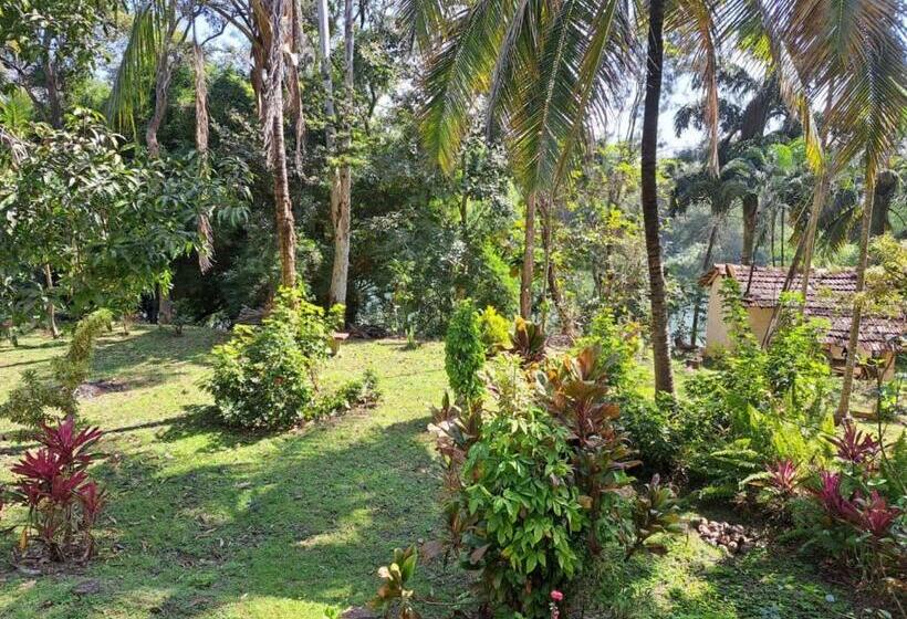 Majatalo Riverside Wooden Cottages In Coorg