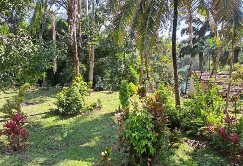 ペンション Riverside Wooden Cottages In Coorg