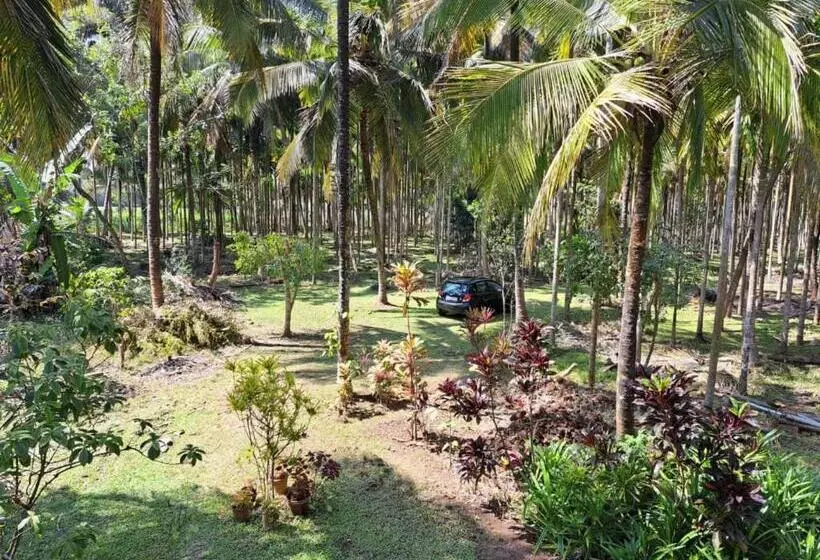 ペンション Riverside Wooden Cottages In Coorg