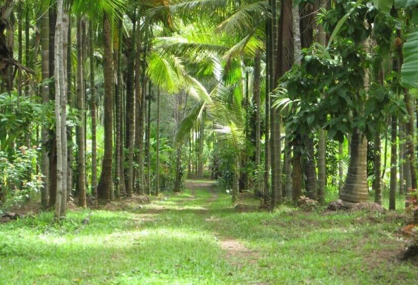 Majatalo Riverside Wooden Cottages In Coorg