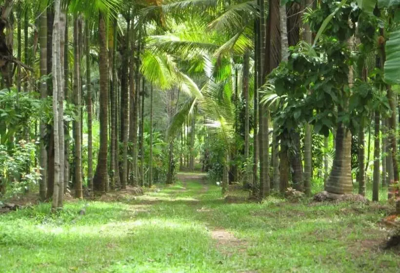 ペンション Riverside Wooden Cottages In Coorg
