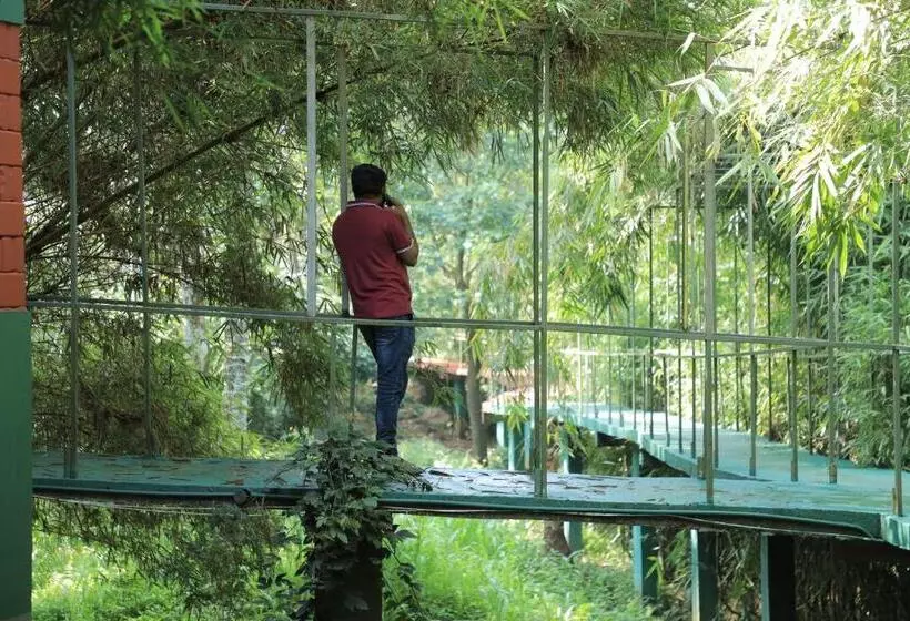 Vythiri Riverwood Resort By Masika Stays