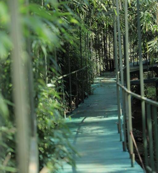 Vythiri Riverwood Resort By Masika Stays