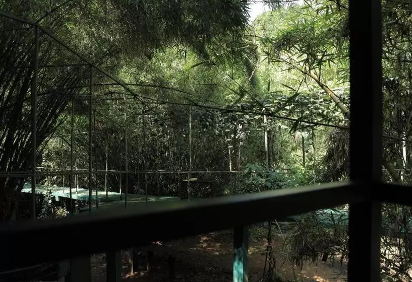 Vythiri Riverwood Resort By Masika Stays