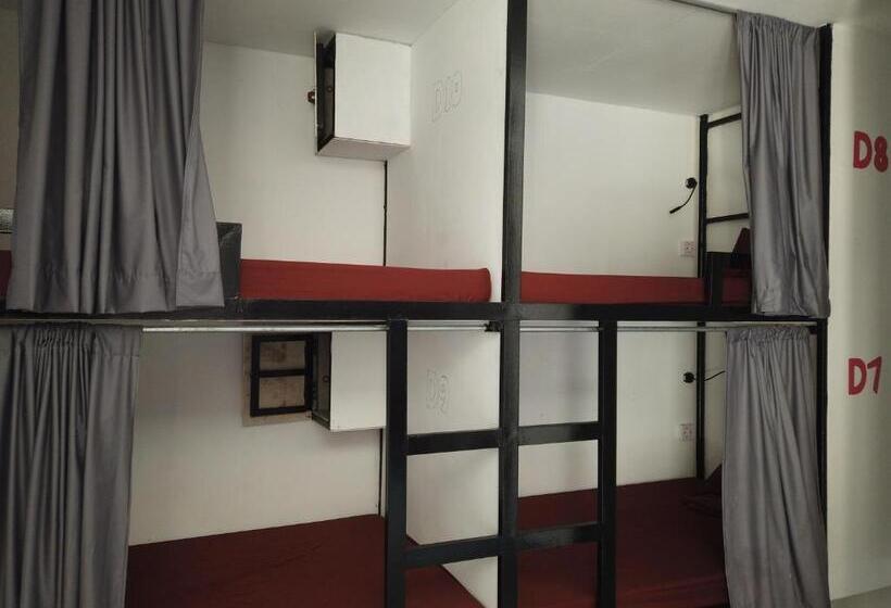 Schronisko Fat Monkey