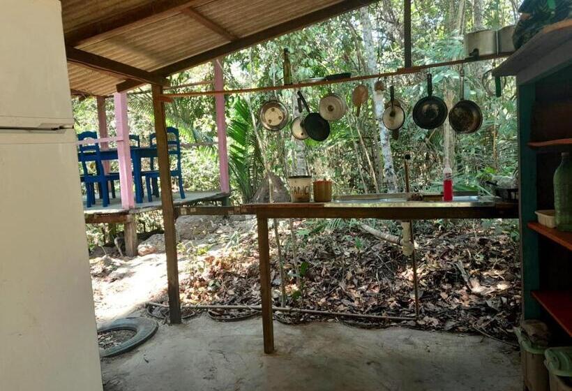 Hostel Na Floresta Com Saída Ao Igarapé   Consciência E Espiritualidade  Espaço Caminho Das Pedras