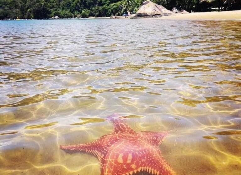 Casarão Hostel E Pousada