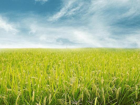 Nalinnaa Resort Buriram ณลิ์ณน่า รีสอร์ท บุรีรัมย์