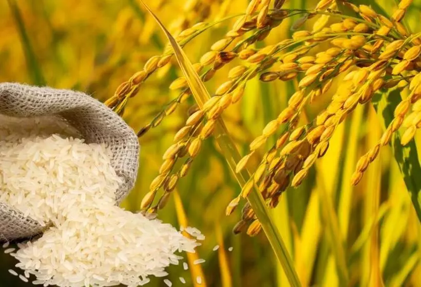 Nalinnaa Resort Buriram ณลิ์ณน่า รีสอร์ท บุรีรัมย์