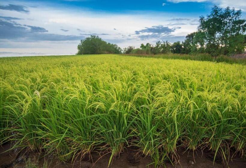 Nalinnaa Resort Buriram ณลิ์ณน่า รีสอร์ท บุรีรัมย์