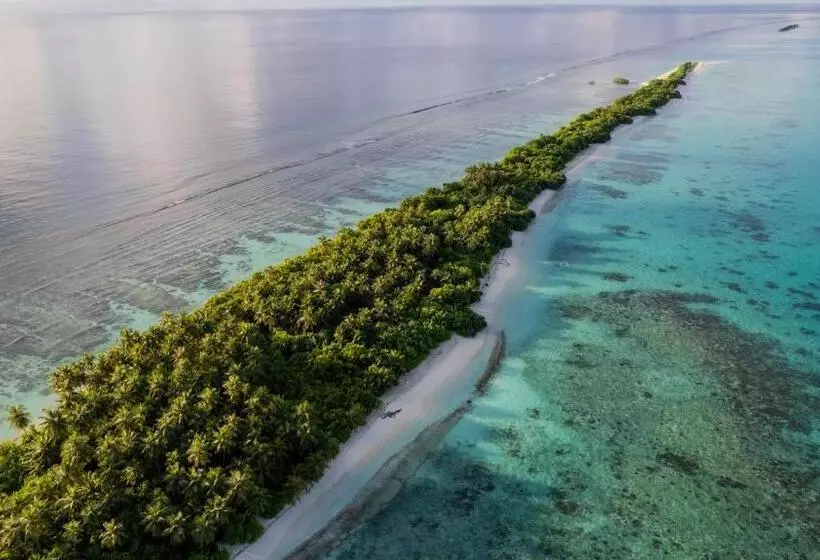 پانسیون Whaleshark Beach
