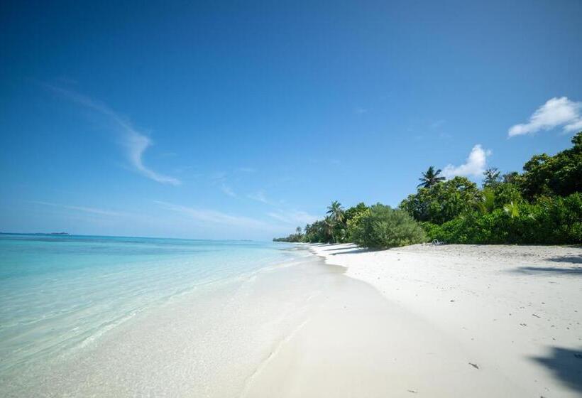 پانسیون Whaleshark Beach