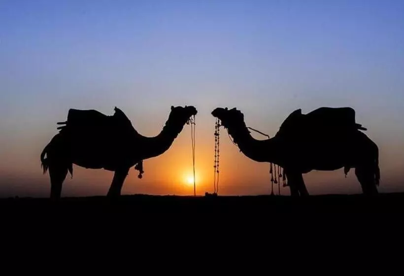 Safari Camp Osian   Sand Dunes Camps Resort Near Jodhpur Rajasthan