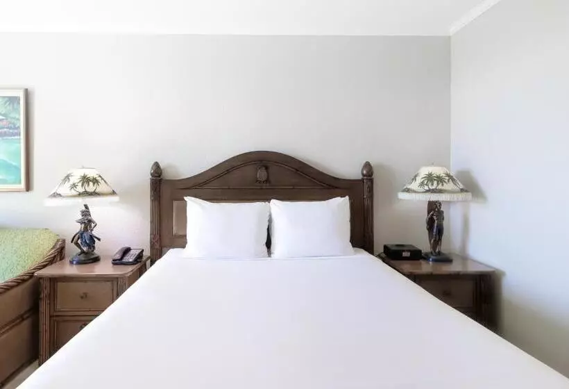 ユースホステル Luana Waikiki #710