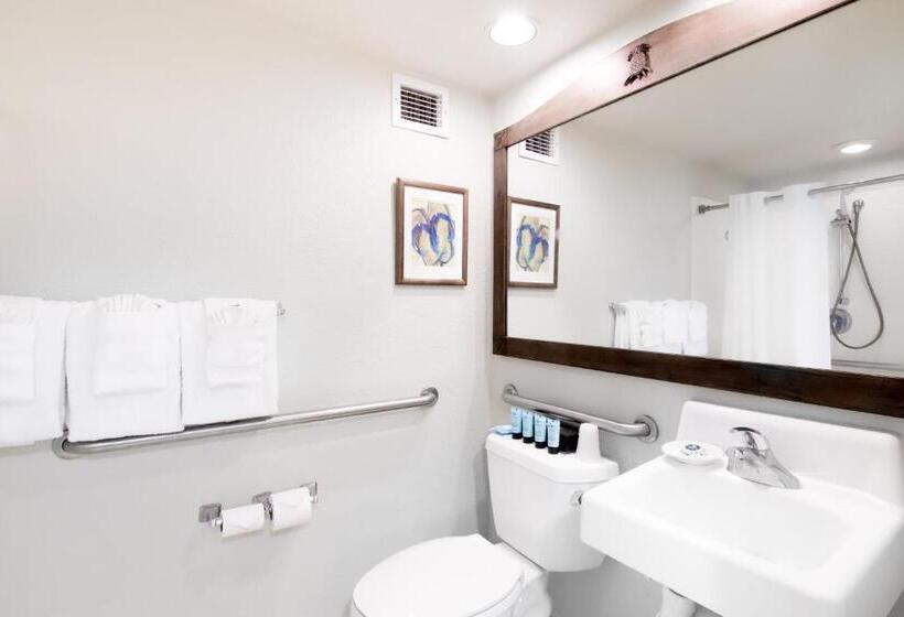 Общежитие Luana Waikiki #710