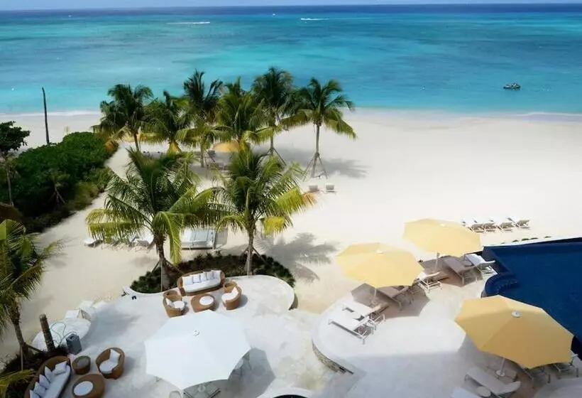 هاستل The Watercolours   Villa A