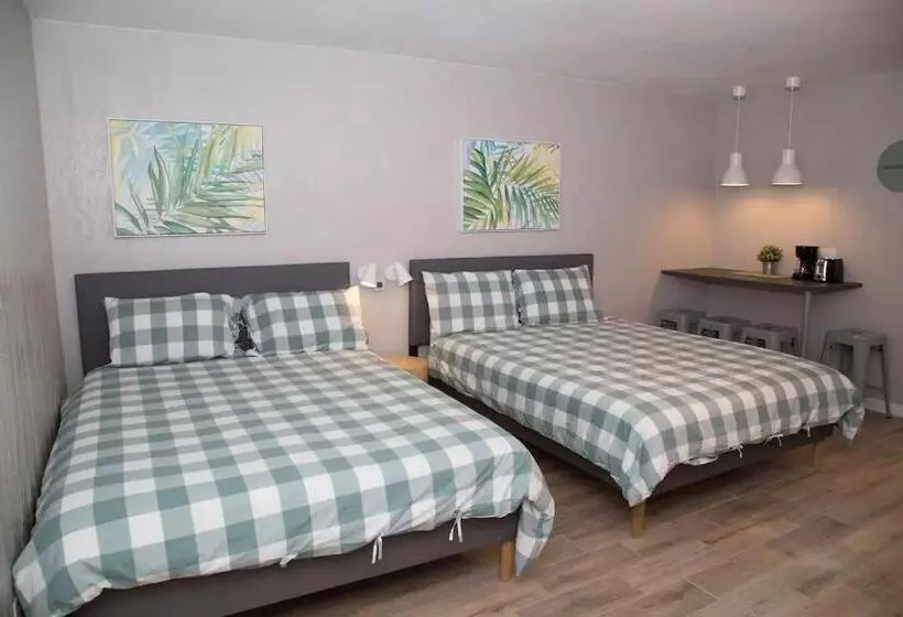 Amazing Studio On Daytona Beach