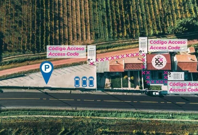 酒店 Alma Candida 11