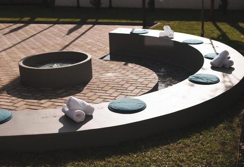 Hotel Alma Candida 24