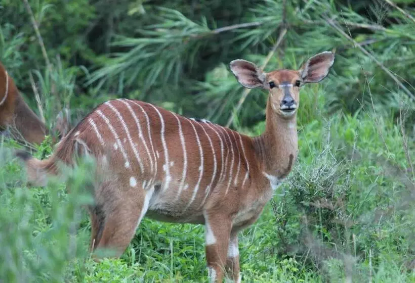 Majatalo Barnside Guest House