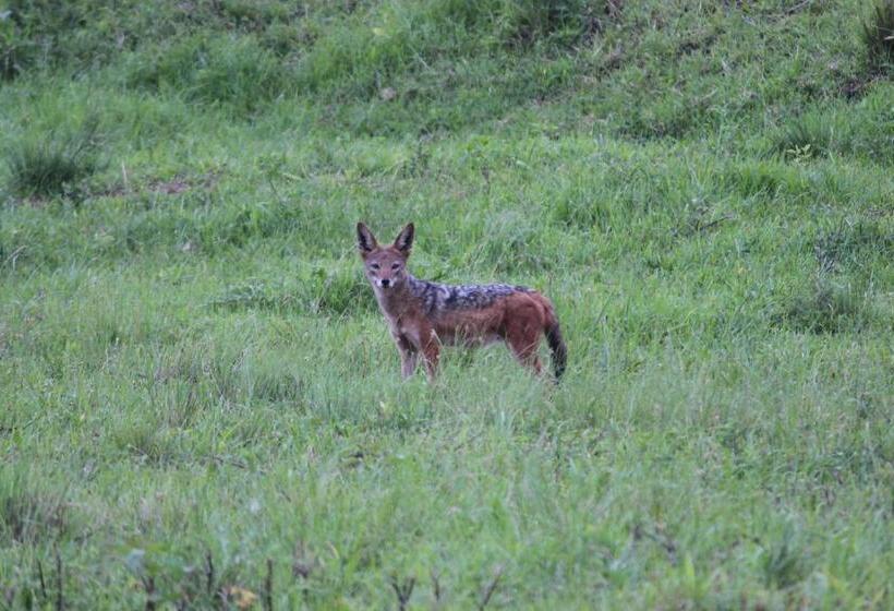膳宿费 Barnside Guest House