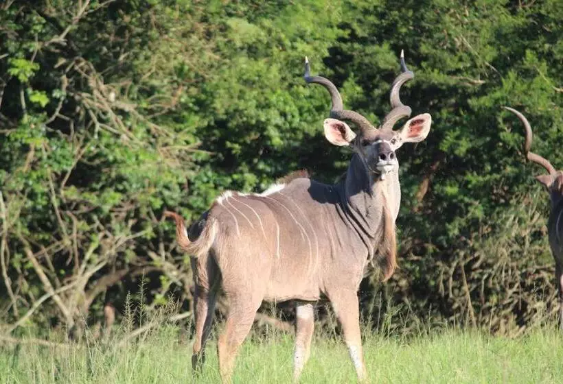 Majatalo Barnside Guest House
