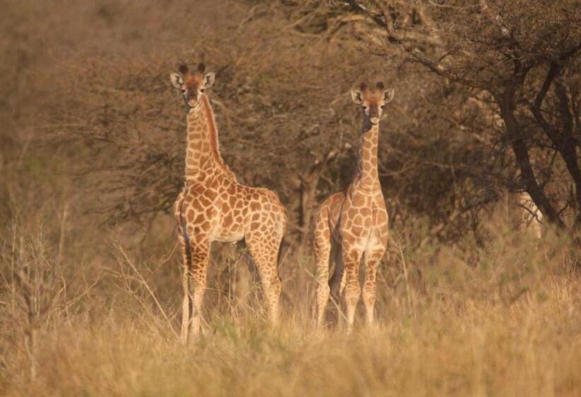 膳宿费 Barnside Guest House